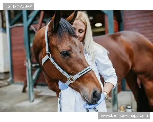 泰国马术协会与兽医合作，开展马匹疾病预防与治疗研究。，泰国的马怎么叫