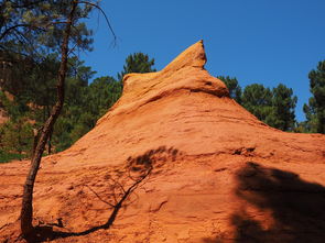 开云体育在线官网-一日英超动态阿莫林自信发声转会话题升温，阿莫子林